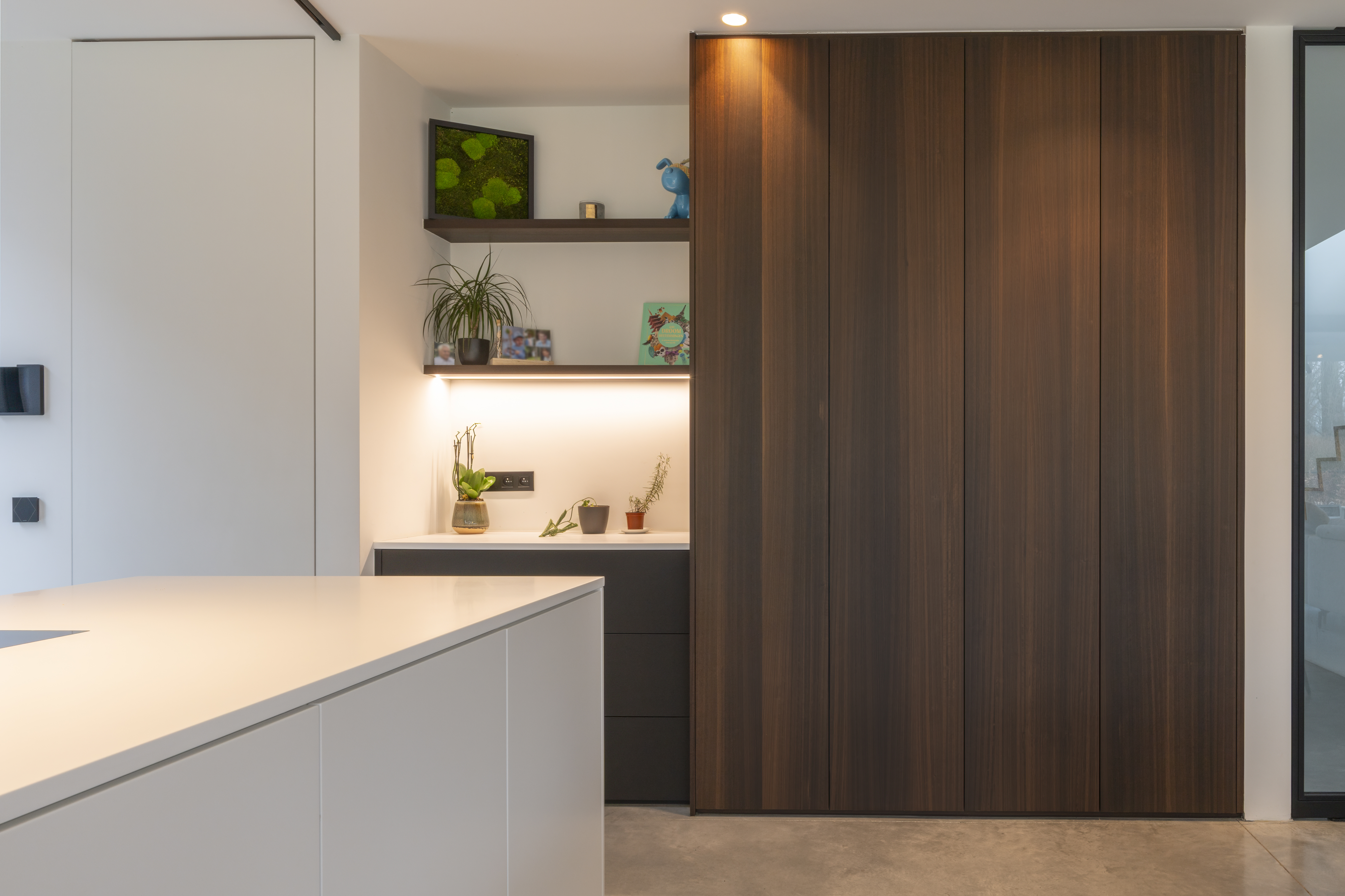 moderne keuken eucalyptusfineer augustijns keukens